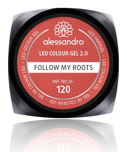 alessandro Farbgel 2.0 Follow My Roots