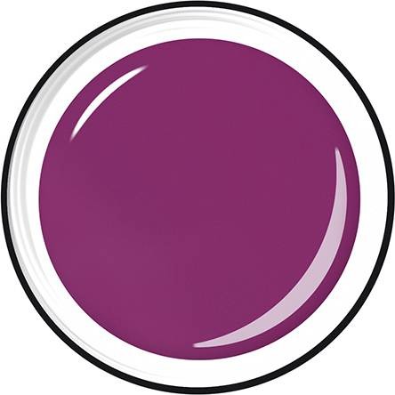 LCN Farbgel violet, 20605-VI